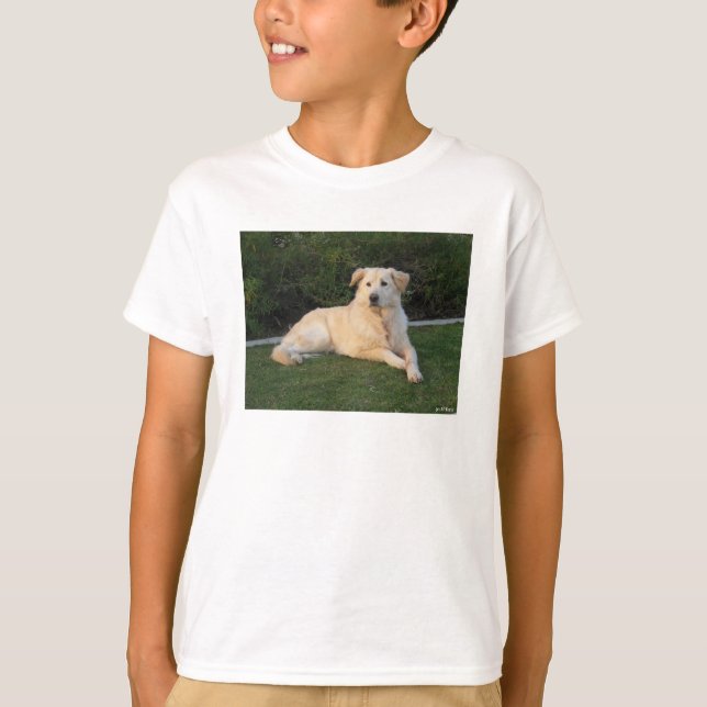 Camiseta Cachorro Relaxando (Frente)