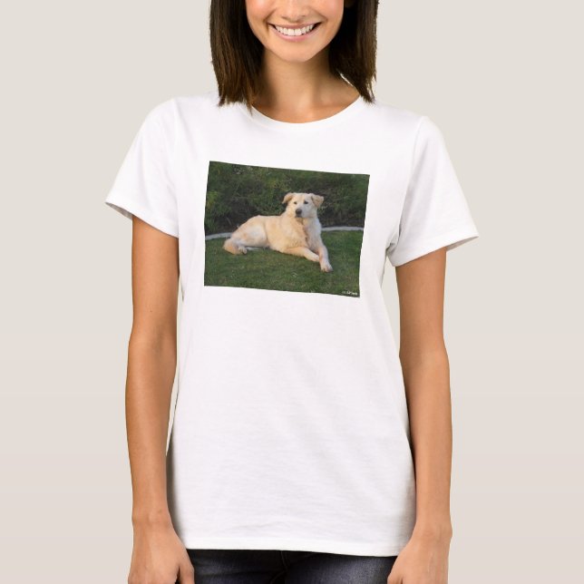 Camiseta Cachorro Relaxando (Frente)