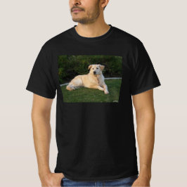 Camiseta Cachorro Relaxando