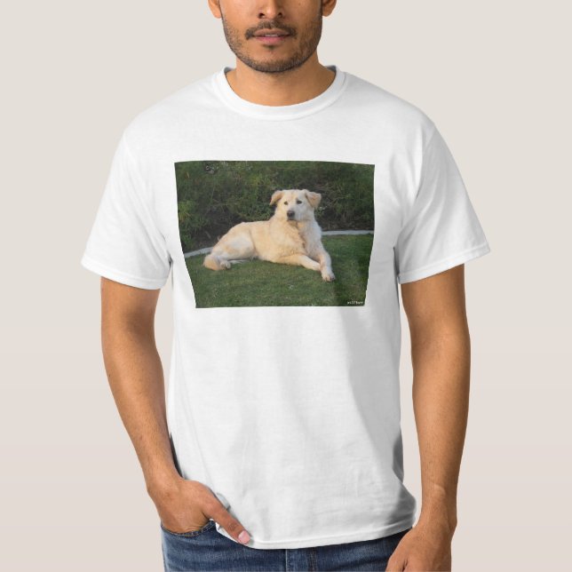 Camiseta Cachorro Relaxando (Frente)