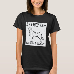 Camiseta Cachorro Retriever Dourado