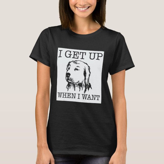 Camiseta Cachorro Retriever Dourado 1 (Frente)