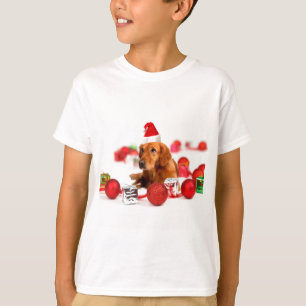 Camiseta Cachorro Retriever Dourado C Com Chapéu Vermelho d