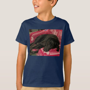 Camiseta Cachorro Sonolento Crianças Escuras T-Shirt