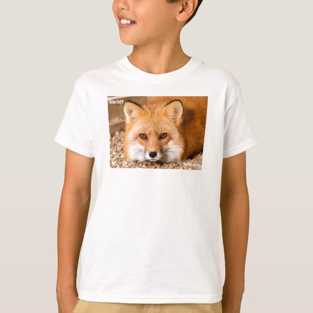 Camiseta Caçoa o t-shirt que caracteriza o Fox vermelho (Frente)