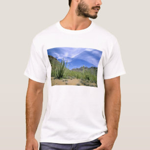 Camiseta Cacto do Deserto no Monumento Nacional do Organ Pi