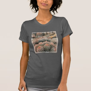 Camiseta Cacto em forma de Barril na Califórnia