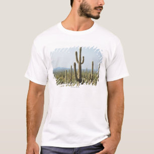 Camiseta Cacto no parque nacional de Saguaro, arizona 2