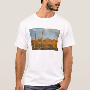 Camiseta Cacto saguaro ao pôr do sol, Arizona