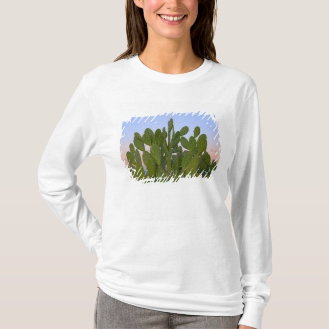 Camiseta Cactos e sisal na Floresta Seca (Frente)