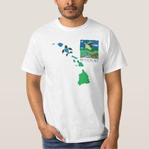 Camiseta Cadeia das Ilhas Hawaii - Hanauma Bay Oahu Turtle