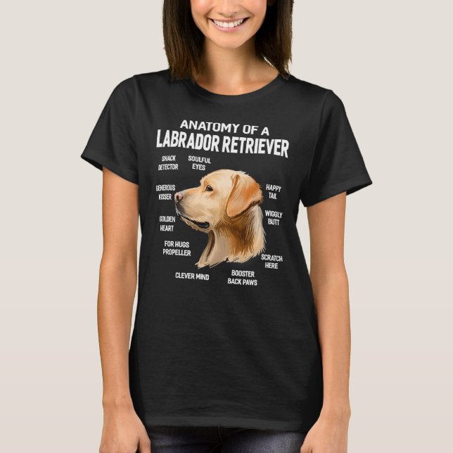 Camiseta Cães 365 Anatomia De Um Cachorro De Retriever Labr (Frente)