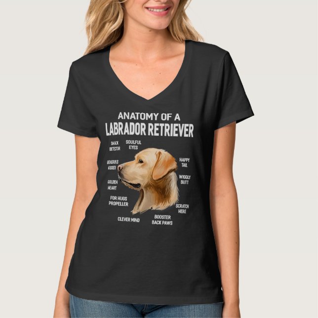 Camiseta Cães 365 Anatomia De Um Cachorro De Retriever Labr (Frente)