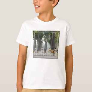 Camiseta Cães Roucos bonitos em uma pista da natureza