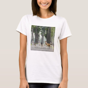 Camiseta Cães Roucos bonitos em uma pista da natureza