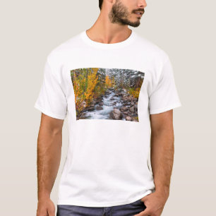 Camiseta Cai ao longo do riacho Bishop, Califórnia