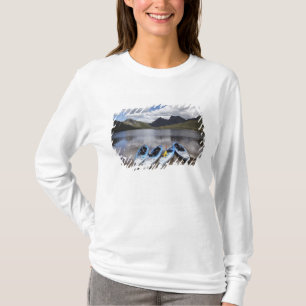 Camiseta Caiaques, Cradle Mountain e Dove Lake, Cradle