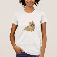 Cairn Terrier - Vermelho claro