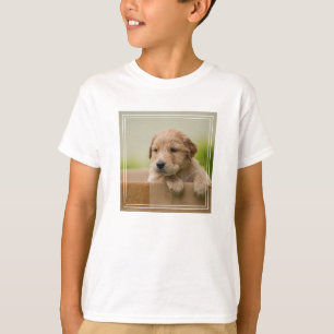 Camiseta Caixa de Ouro do Retriever