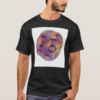 Camiseta Calabi Yau Manifold
