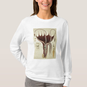 Camiseta Calamar, Pl.2 'de Histoire Naturelle