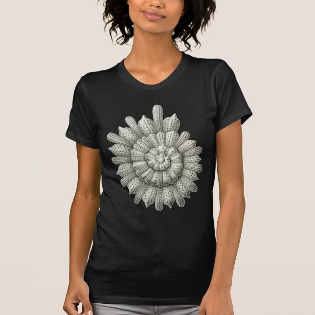 Camiseta Calcarina clavigera Ernst Haeckel Fine Art (Frente)