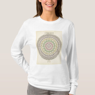 Camiseta Calendário