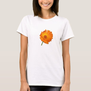 Camiseta - Calendula em Haste Curta
