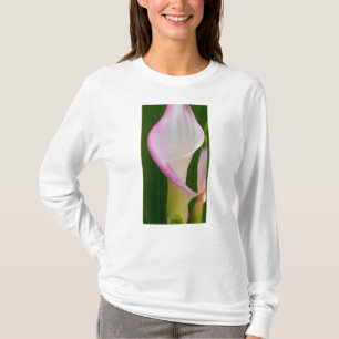 Camiseta Calha Pano