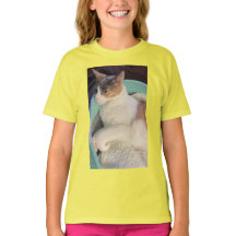 Calico Cat na Cat Bed