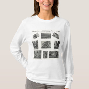 Camiseta Califórnia 4