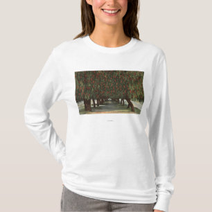 Camiseta CaliforniaGroves de árvores de pimenta