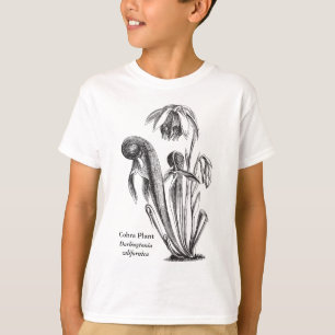 Camiseta Californica do Darlingtonia, planta carnívora