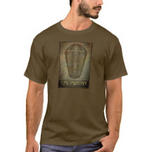 Calymene Sepia Trilobita Paleo-chique