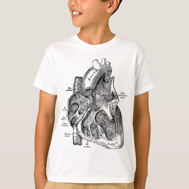 Camiseta Câmara Direita do Tee da Anatomia do Coração Human (Frente)