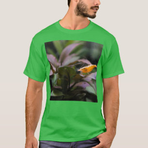 Camiseta Camarão de Aquário