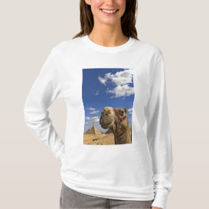 Camiseta Camel em frente às pirâmides de Giza, Egito,