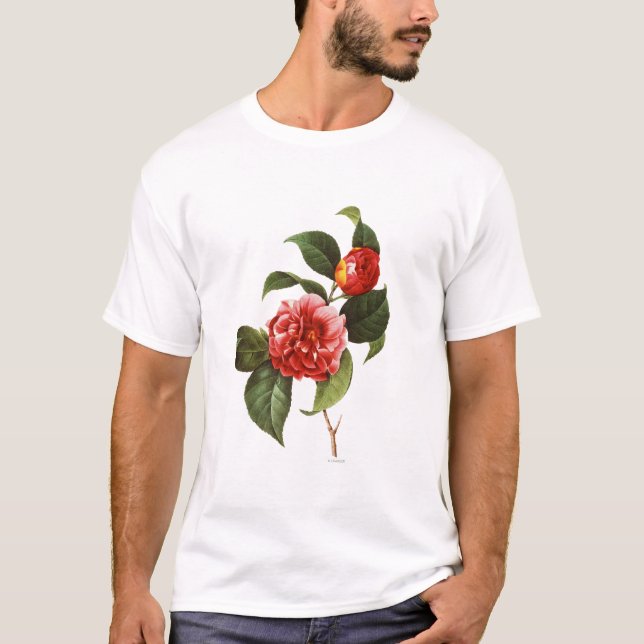 Camiseta Camélia vermelha, 1833 (Frente)
