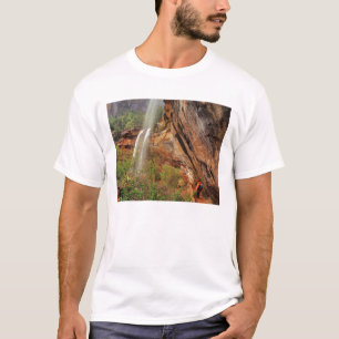 Camiseta Caminhando na Trilha Emerald Pools em Zion Nationa