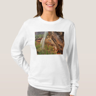 Camiseta Caminhando na Trilha Emerald Pools em Zion Nationa