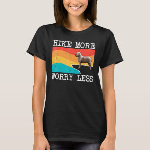 Camiseta Caminhe Mais Preocupe Menos Lagotti Romagnoli Gráf