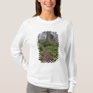 Camiseta Caminho através das árvores sequóias gigantes envo