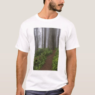 Camiseta Caminho através das árvores sequóias gigantes envo