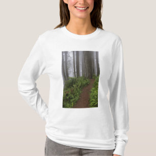 Camiseta Caminho através das árvores sequóias gigantes envo
