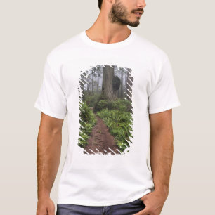 Camiseta Caminho através das árvores sequóias gigantes envo