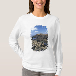 Camiseta Caminho dos Gigantes, Condado de Antrim, Norte