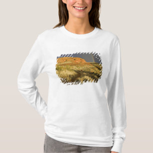 Camiseta Caminho simples no Red Cliffs Desert Preserve pert