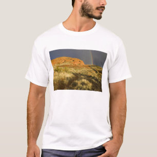 Camiseta Caminho simples no Red Cliffs Desert Preserve pert