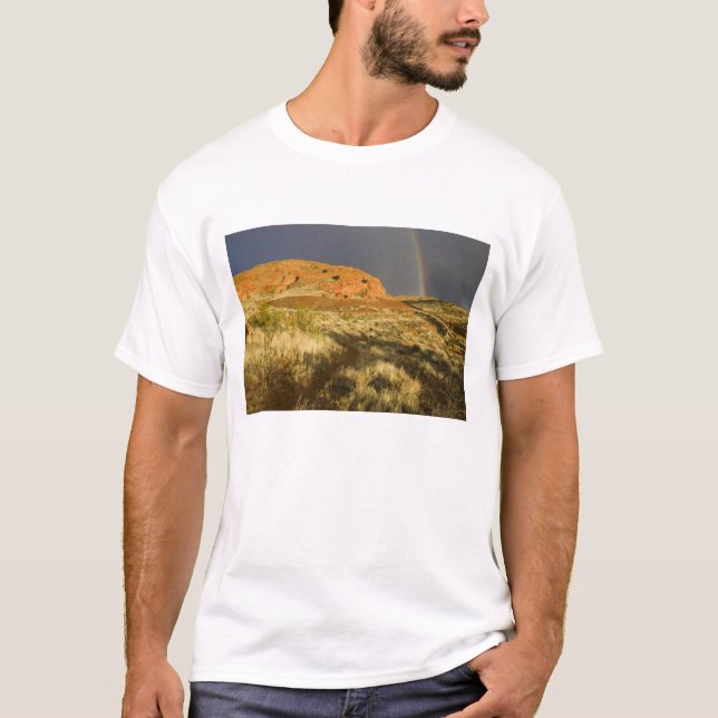 Camiseta Caminho simples no Red Cliffs Desert Preserve pert (Frente)