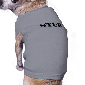 Camiseta Camisa para Cachorros!
